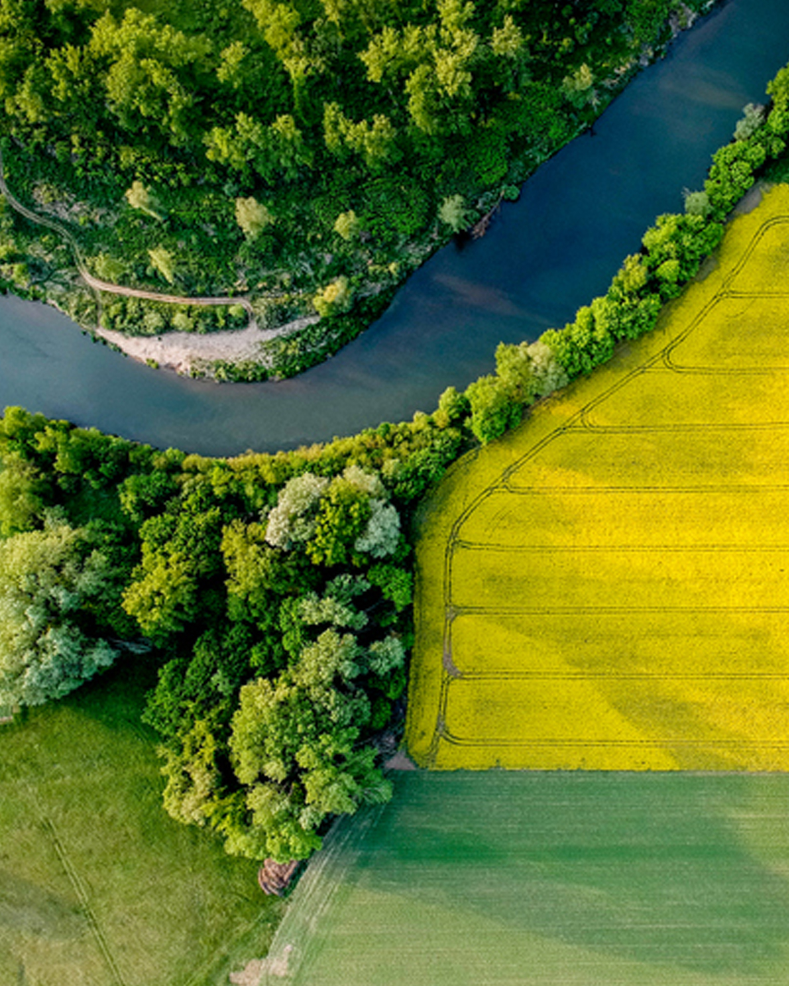 Réduire notre impact environnemental